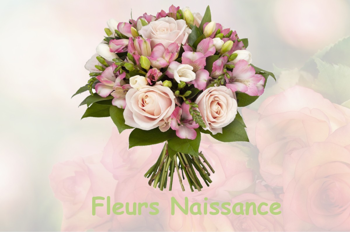 fleurs naissance PESSAT-VILLENEUVE